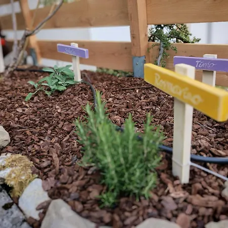 Appartement Terrazza Bloom