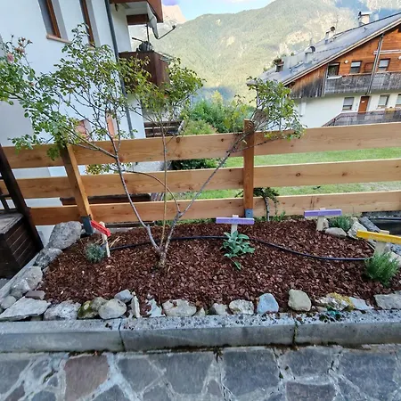 Appartement Terrazza Bloom *