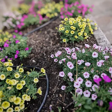 Terrazza Bloom * Pieve di Cadore