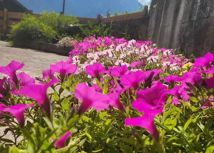 Terrazza Bloom Lägenhet