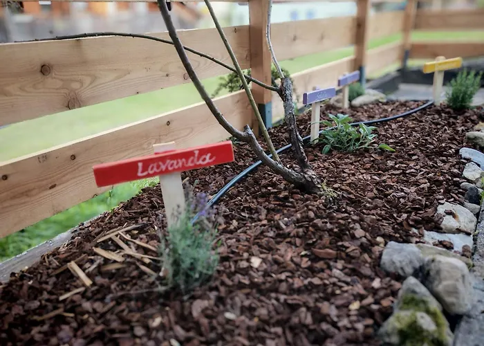 Terrazza Bloom Lägenhet