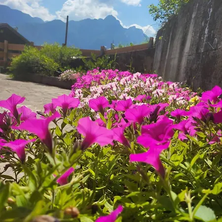 Terrazza Bloom Apartmán