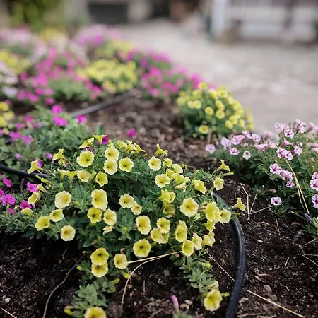 Terrazza Bloom Apartamento