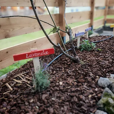 Terrazza Bloom Διαμέρισμα