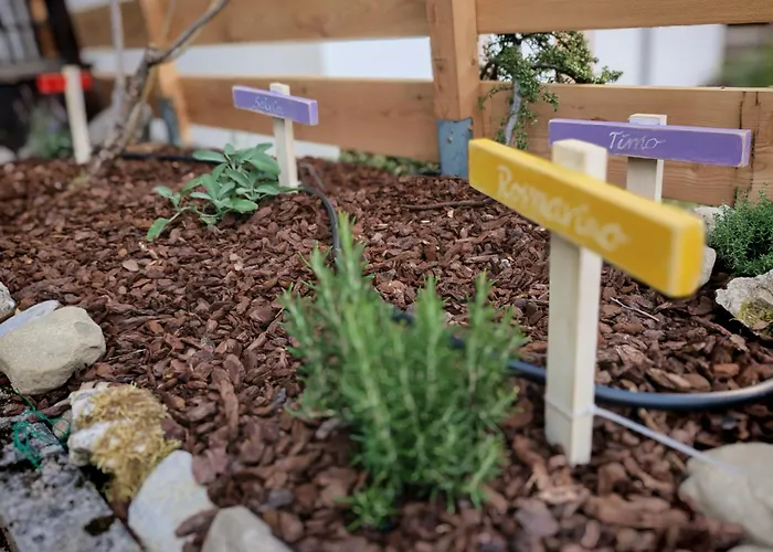 شقة Terrazza Bloom