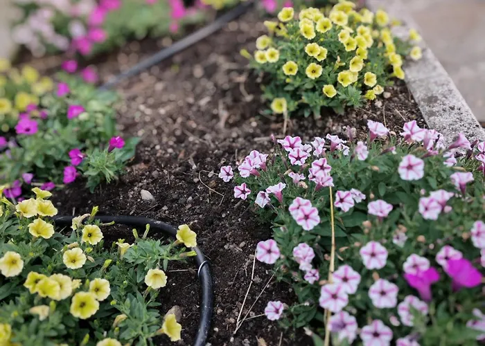 Terrazza Bloom * بييفي دي كادوري